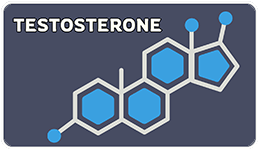 Testosterone